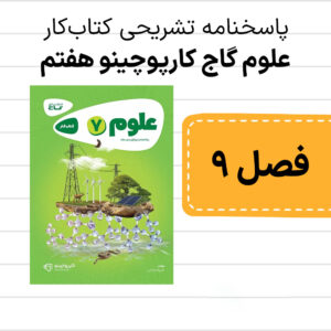 دانلود pdf پاسخنامه کتاب کار علوم گاج کارپوچینو هفتم فصل نهم، منابع انرژی